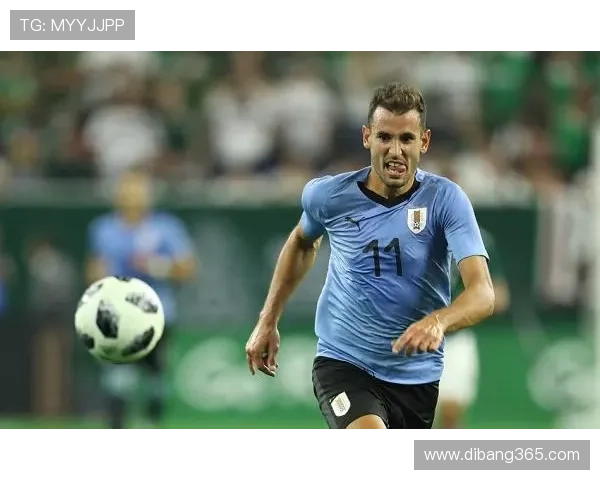 罗马诺特尔施特根租赫罗纳无买断